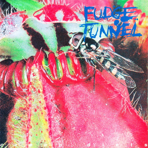 fudge-tunnel-creep-diets-